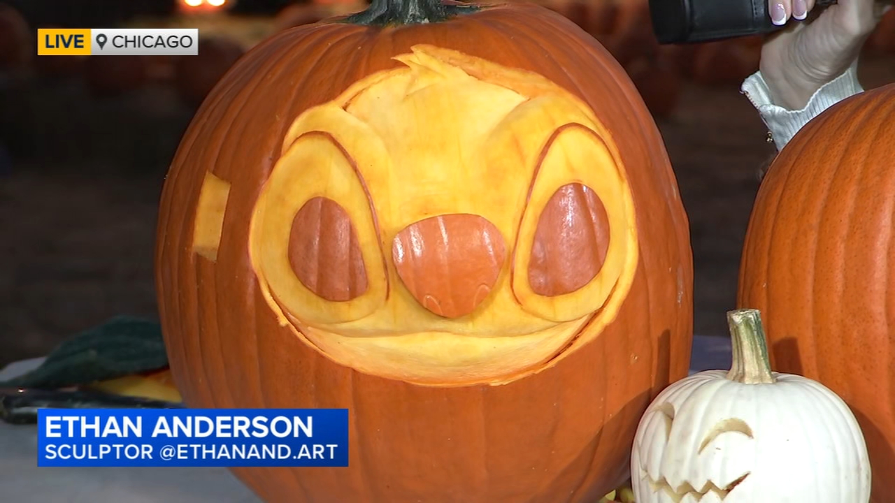 Jack's Pumpkin Pop Up on Goose Island
       — Elgin Community news