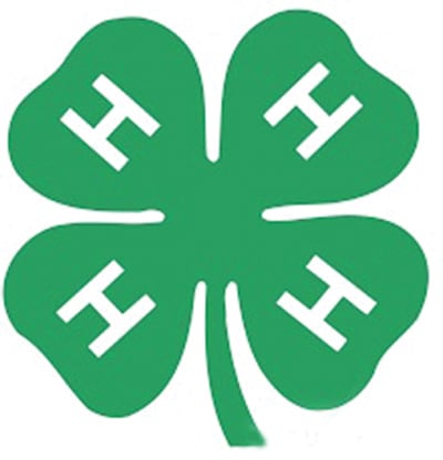 Ogle County youths make a difference through annual Illinois 4-H food drive — Elgin Sports news