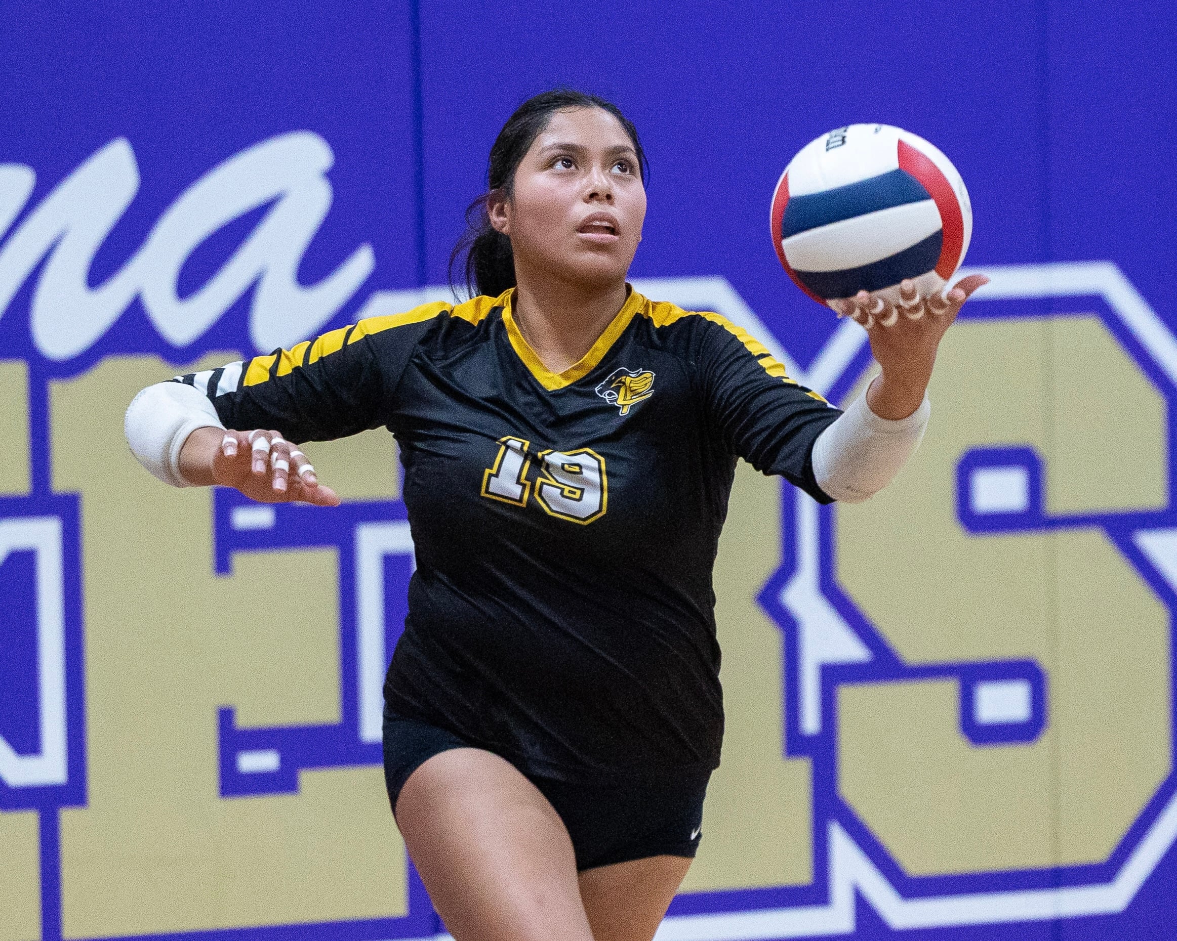 Putnam County volleyball falls in regional final: Thursday’s NewsTribune/BCR roundup — Elgin Community news