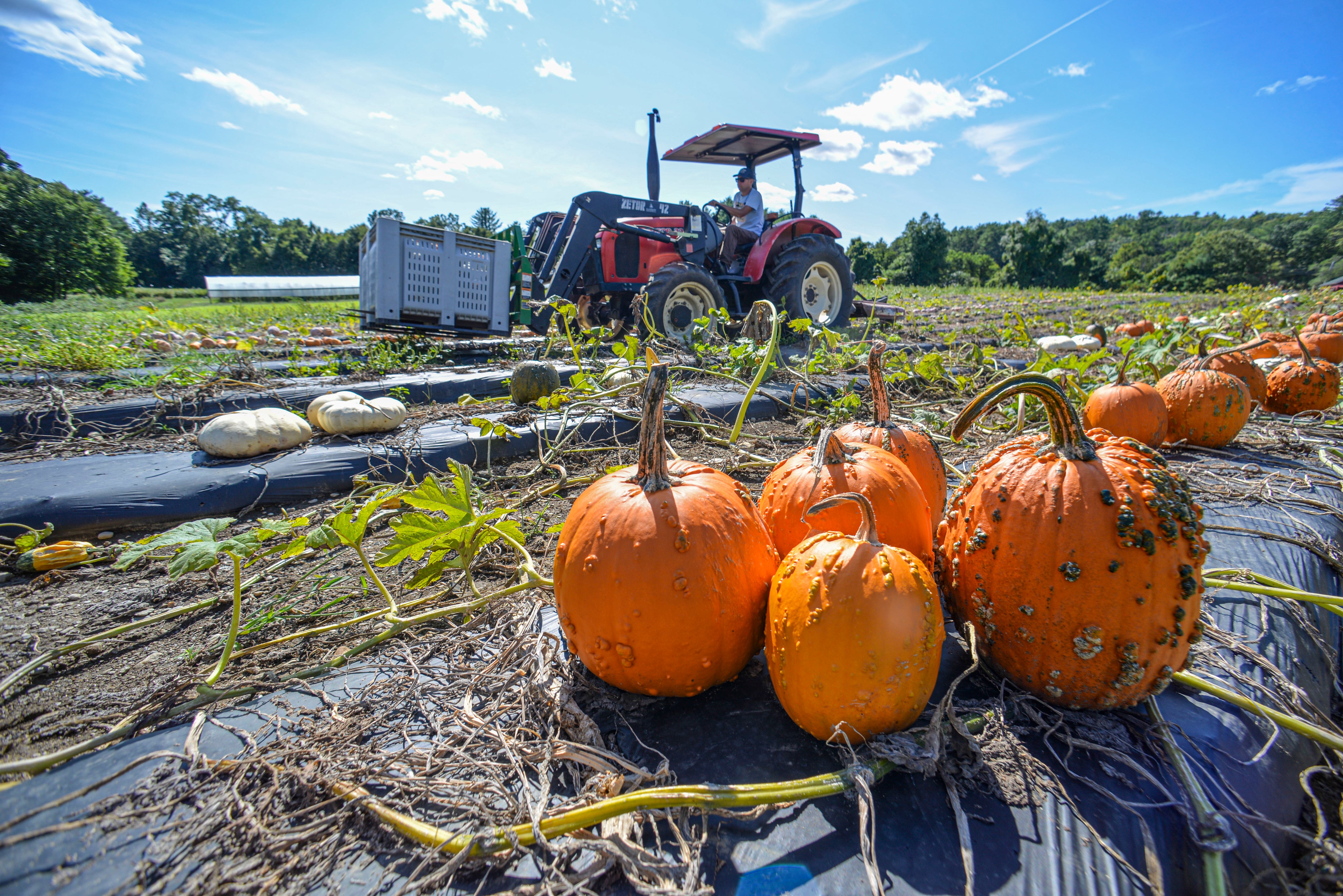 Breaking point: Rising costs grip ag economy — Elgin Arts news